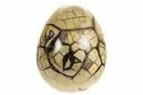 Septarian Dragon Egg Geode - Removable Section #329480-1